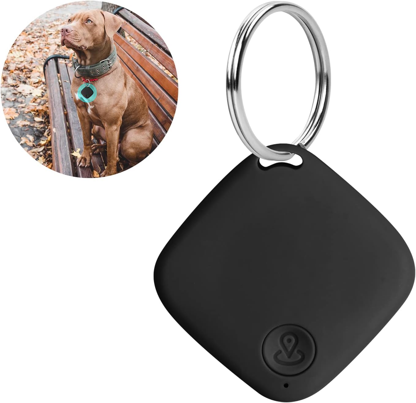 traceur gps chien et chat sans abonnement