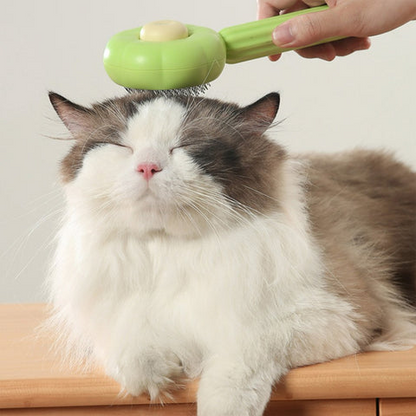 brosse chat 