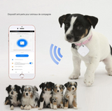 Traceur GPS Pour Chat et Chien - Pet Connect™