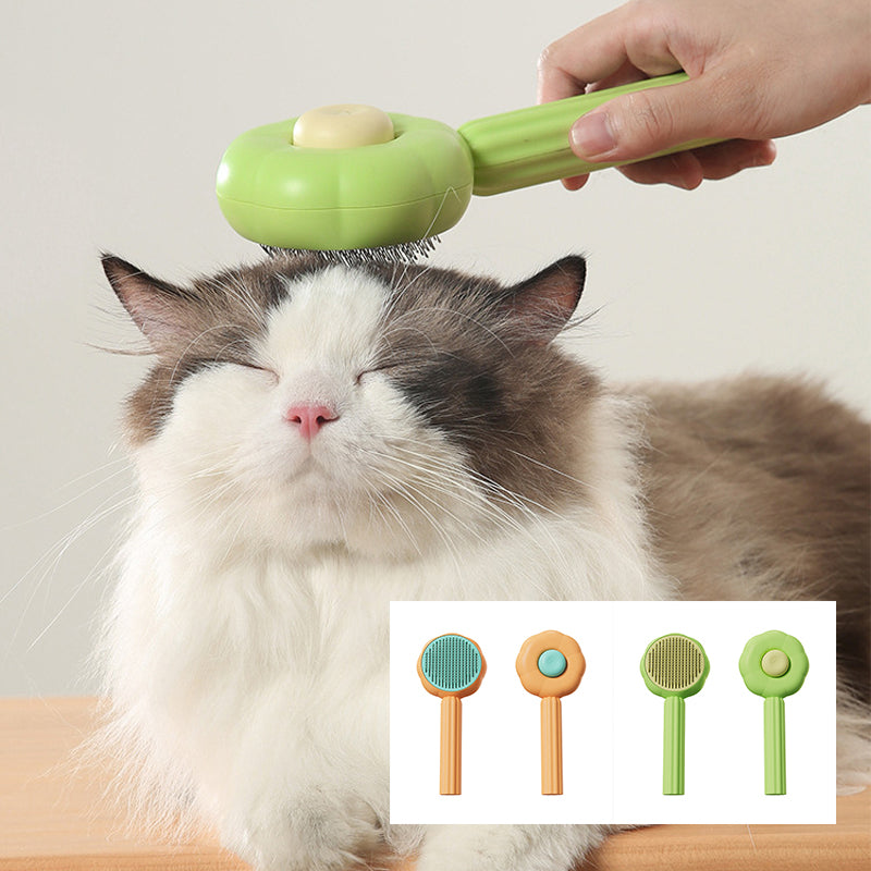 brosse chat 