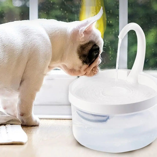 Fontaine à Eau Pour Chat