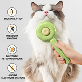 brosse chat 