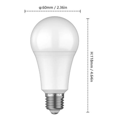 Ampoule LED blanc froid