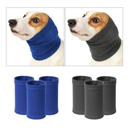 Bandage oreille chien