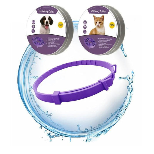 Collier anti-stress chien